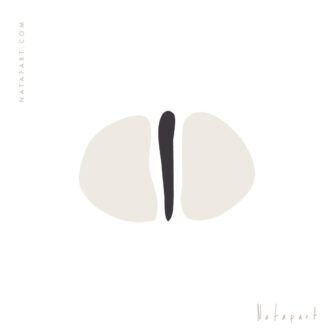 EGGS 2A ILLUSTRATION