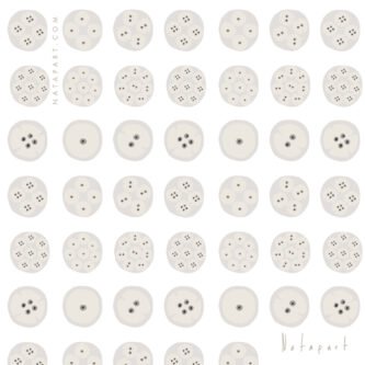 MEIOSIS B REPEAT