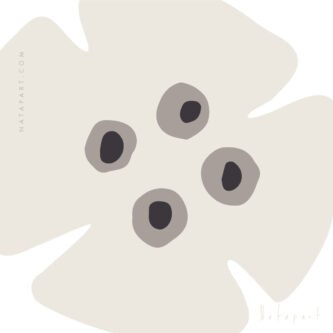 MEIOSIS D ILLUSTRATION