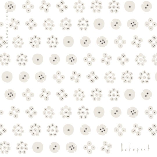 MEIOSIS D ILLUSTRATION - Image 2
