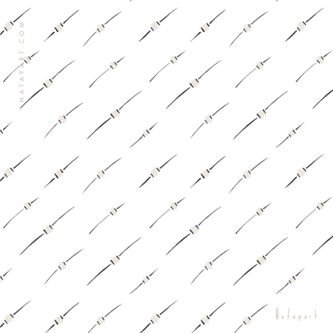 PARTICLES PULL A REPEAT