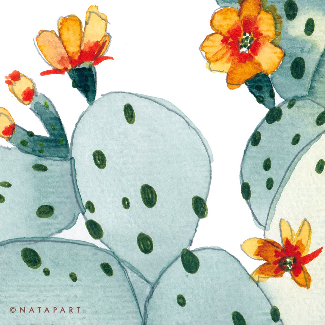 Cactus Flowers Original Watercolour - Image 6