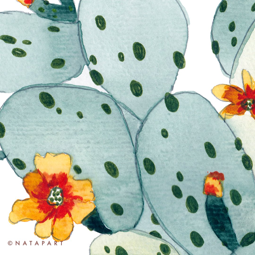 Cactus Flowers Original Watercolour - Image 3